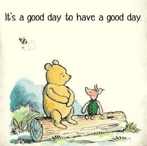 Meet your Posher, Tara